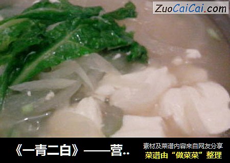 《一青二白》——营养素汤