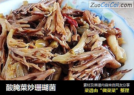 酸腌菜炒珊瑚菌