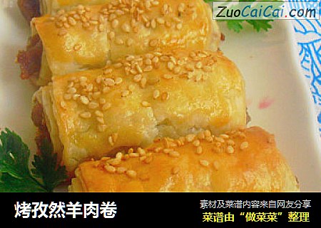 烤孜然羊肉卷