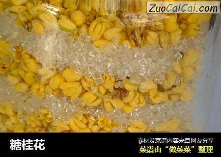 糖桂花