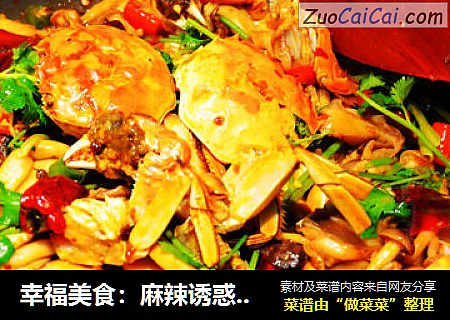 幸福美食：麻辣诱惑大闸蟹多菌香锅