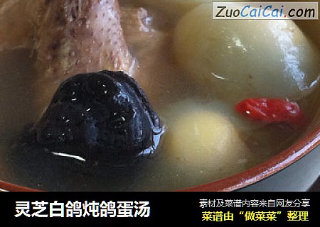 灵芝白鸽炖鸽蛋汤