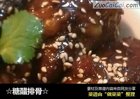 ☆糖醋排骨☆