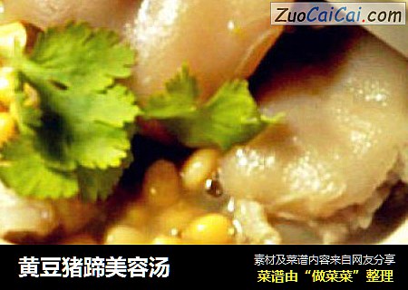黄豆猪蹄美容汤