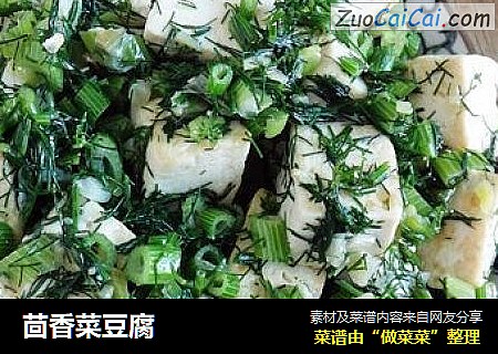 茴香菜豆腐