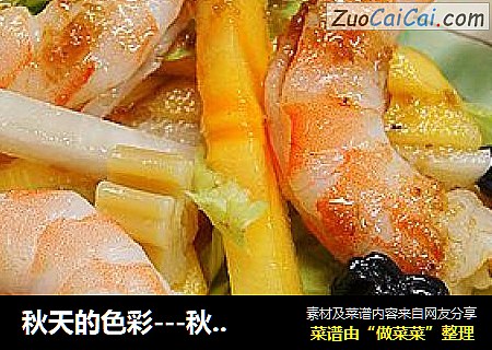 秋天的色彩---秋柿子沙拉