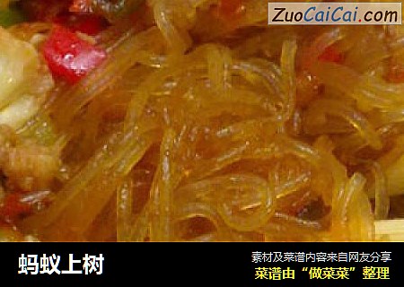 蚂蚁上树