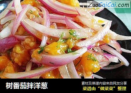 树番茄拌洋葱