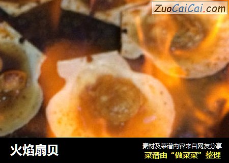 火焰扇贝