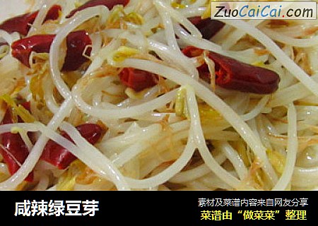 咸辣绿豆芽
