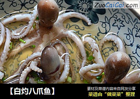 【白灼八爪鱼】