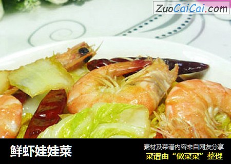 鲜虾娃娃菜