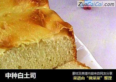 中种白土司