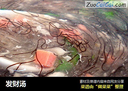 发财汤