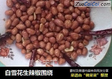 白雪花生辣椒围绕