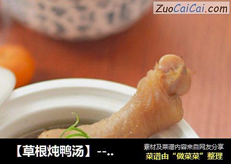 【草根炖鸭汤】---抗风除湿廉价良方