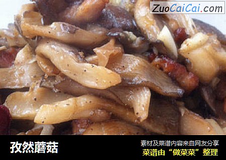 孜然蘑菇