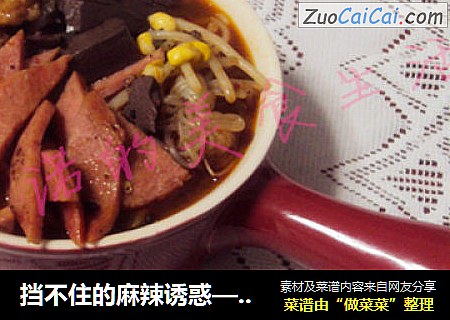 挡不住的麻辣诱惑——【家庭版毛血旺】