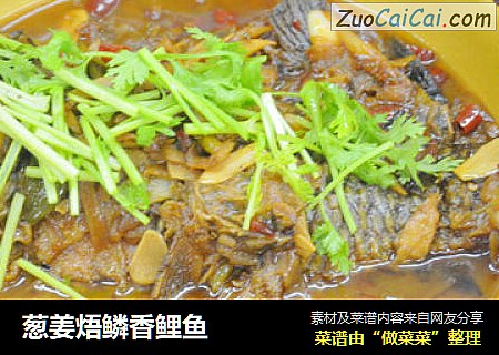 葱姜焐鳞香鲤鱼
