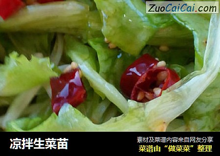 凉拌生菜苗