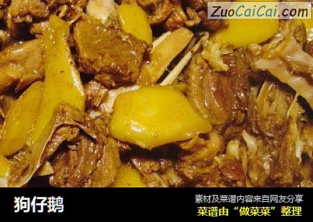 狗仔鹅