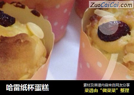 哈雷纸杯蛋糕