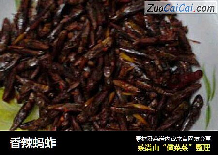 香辣蚂蚱