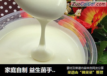 家庭自制 益生菌手工酸奶酪