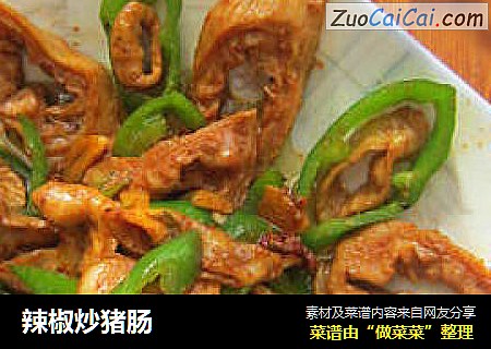 辣椒炒猪肠
