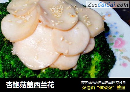 杏鲍菇盖西兰花