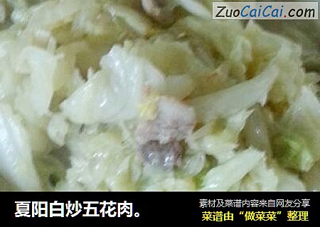 夏阳白炒五花肉。