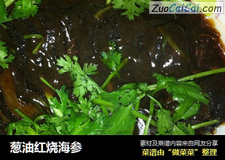 葱油红烧海参