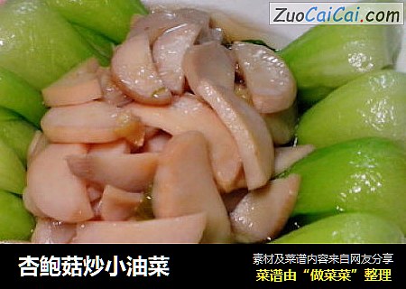 杏鲍菇炒小油菜