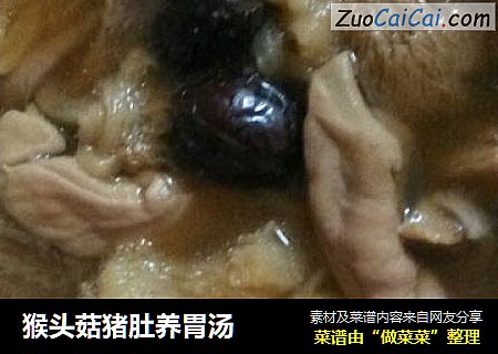 猴头菇猪肚养胃汤