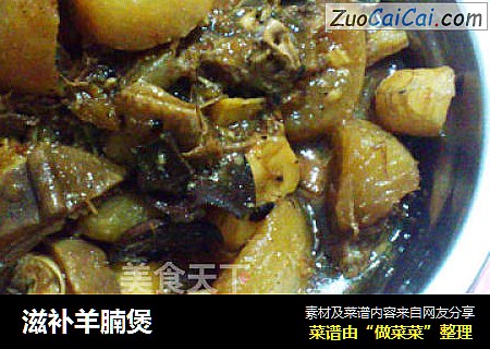 滋补羊腩煲