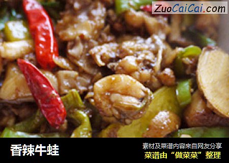 香辣牛蛙