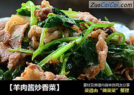 【羊肉酱炒香菜】