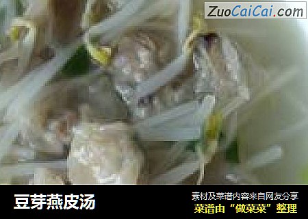 豆芽燕皮汤