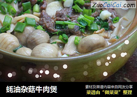 蚝油杂菇牛肉煲