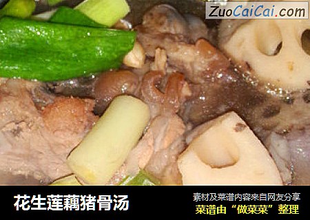 花生莲藕猪骨汤
