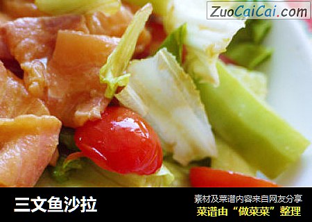 三文鱼沙拉