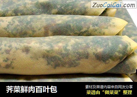 荠菜鲜肉百叶包