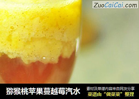 猕猴桃苹果蔓越莓汽水