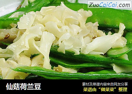 仙菇荷兰豆