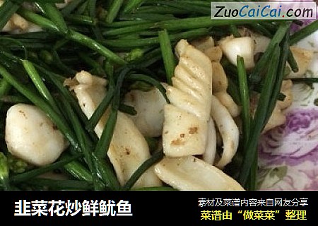 韭菜花炒鲜鱿鱼