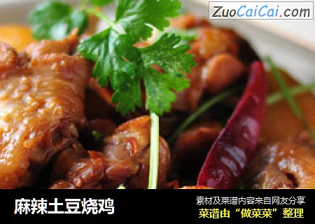 麻辣土豆烧鸡
