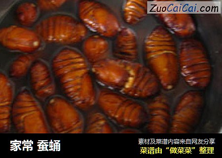 家常 蚕蛹