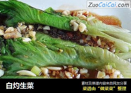 白灼生菜