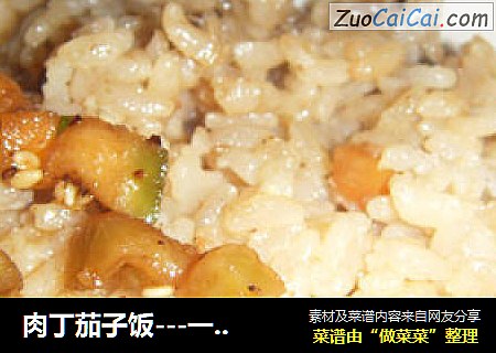 肉丁茄子饭---一锅出
