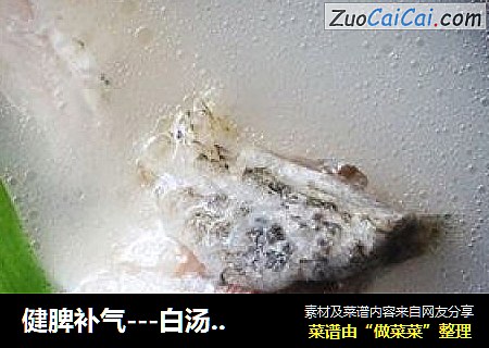 健脾补气---白汤鱼头